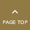 pagetop