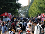 2009tomonsai_campus3